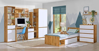 Arca Bookcase 45